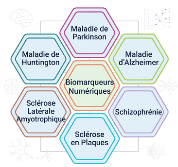 Disease areas covered by Mely